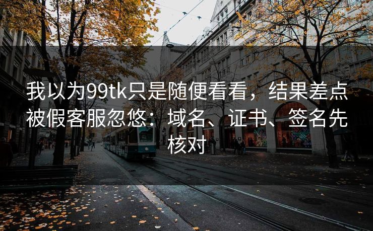 我以为99tk只是随便看看，结果差点被假客服忽悠：域名、证书、签名先核对