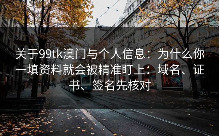 关于99tk澳门与个人信息：为什么你一填资料就会被精准盯上：域名、证书、签名先核对