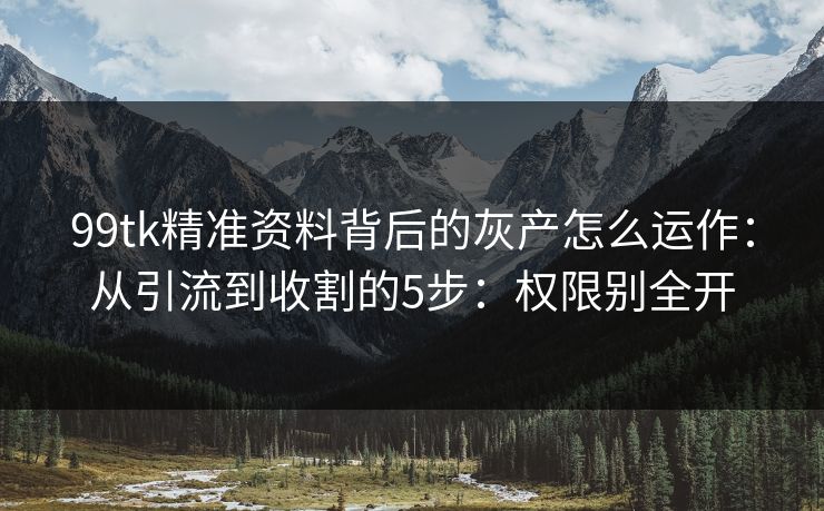 99tk精准资料背后的灰产怎么运作：从引流到收割的5步：权限别全开