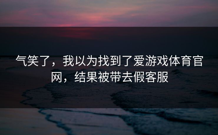 气笑了，我以为找到了爱游戏体育官网，结果被带去假客服
