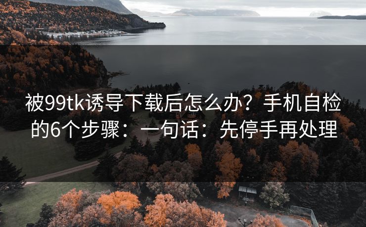 被99tk诱导下载后怎么办？手机自检的6个步骤：一句话：先停手再处理