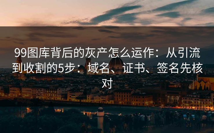 99图库背后的灰产怎么运作：从引流到收割的5步：域名、证书、签名先核对