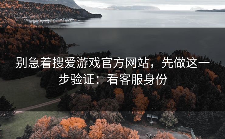 别急着搜爱游戏官方网站，先做这一步验证：看客服身份