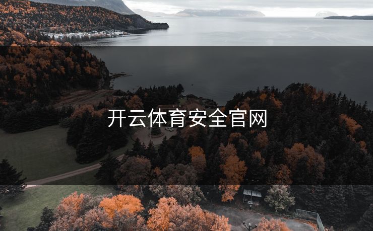 开云体育安全官网 开云体育安全官网